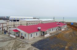 работа в кызылорде вахтовым методом